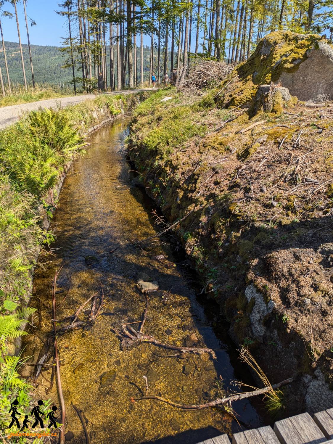 Schwarzenberský plavební kanál