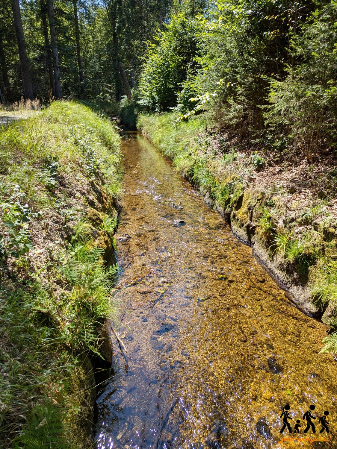 Schwarzenberský plavební kanál